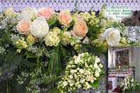 fiori4