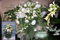 fiori5