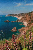 poster palmi